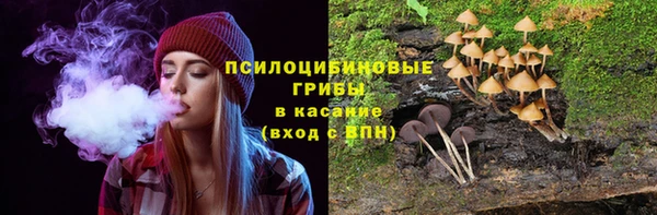 не бодяженный Алексин