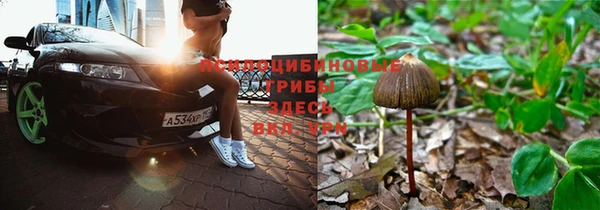 трава Алексеевка