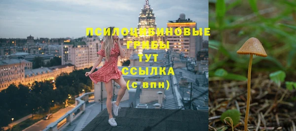 мескалин Абаза